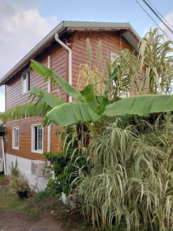 לז אבים Le Cosy Bungalow De Lili / 5Min De L'Aeroport מראה חיצוני תמונה